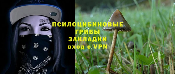 мет Алексин