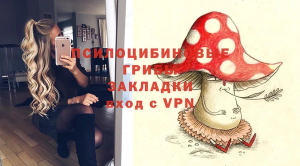 apvp Алзамай