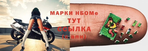 apvp Алзамай
