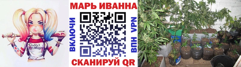 Канабис семена блэк спрут вход Старый Оскол